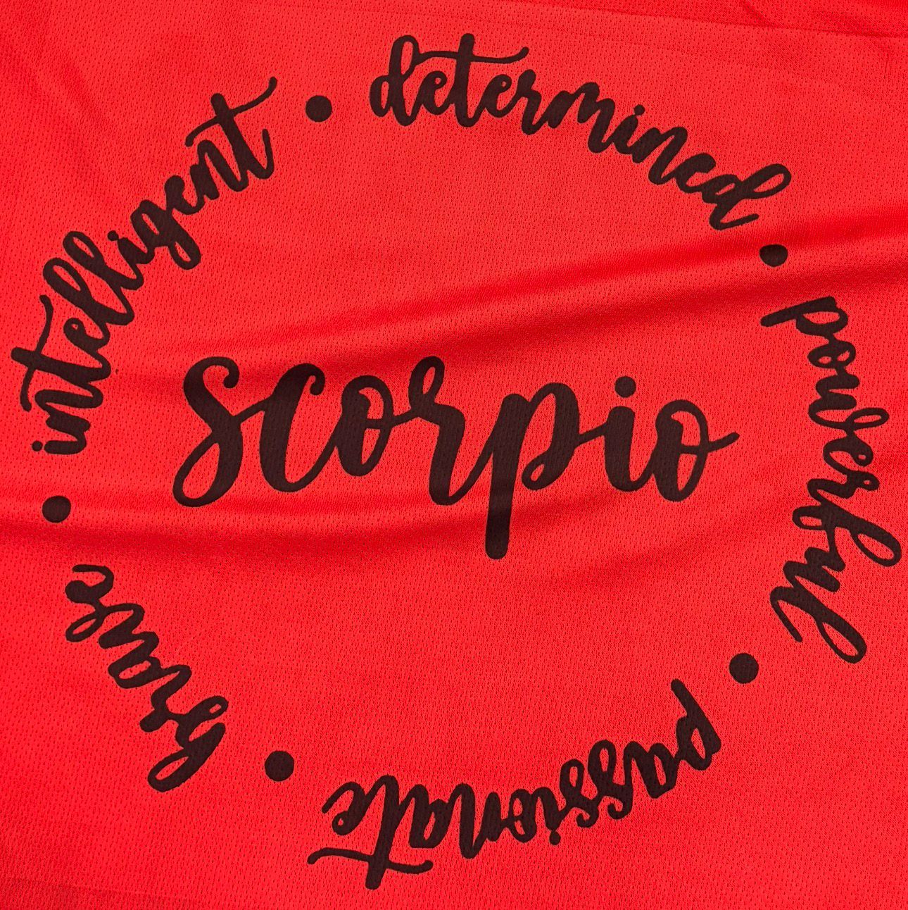 Scorpio Traits T-Shirt